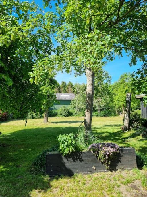 Willkommen In Frifelt Naehe Romo Mit Wunderschoenen Garten Skærbæk Εξωτερικό φωτογραφία